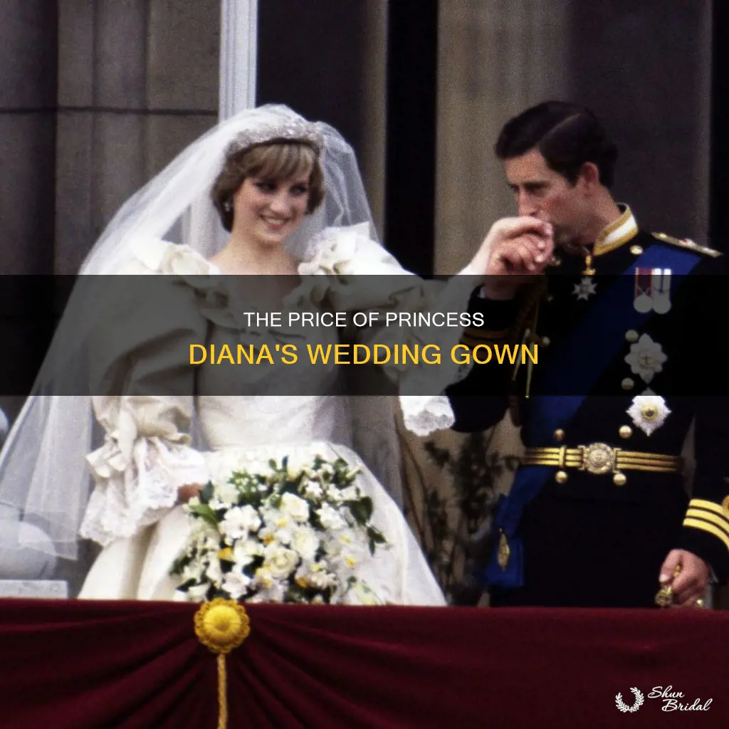 how much did diana