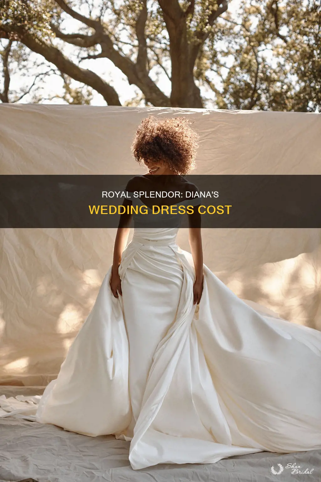 how much did diannas wedding dress cost
