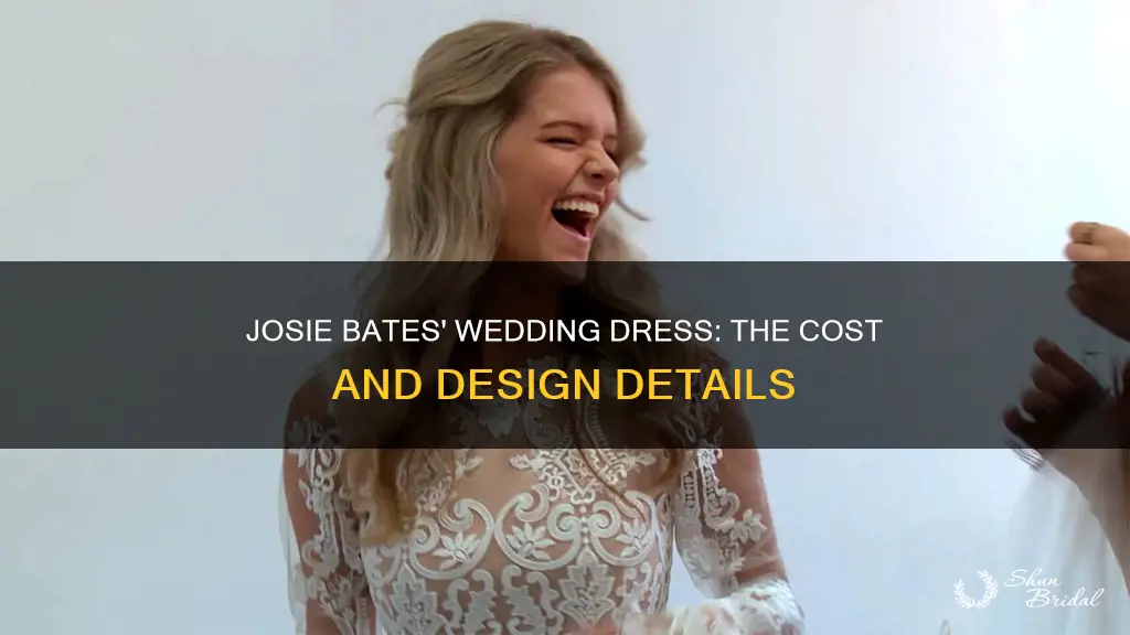 how much did josie bates wedding dress cost
