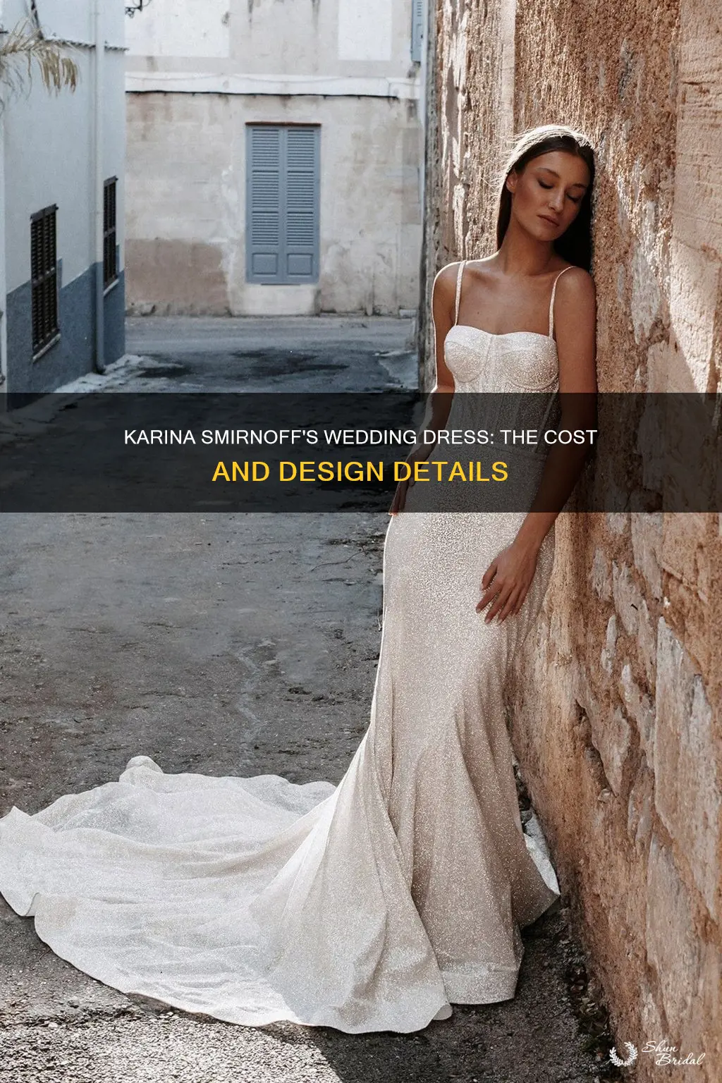 how much did karina smirnoff wedding dress cost