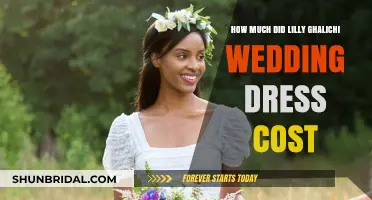 The Extravagant Cost of Lilly Ghalichi's Wedding Dress