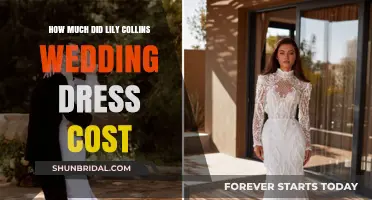 Lily Collins' Wedding Dress: The Cost of Her Dreamy Gown