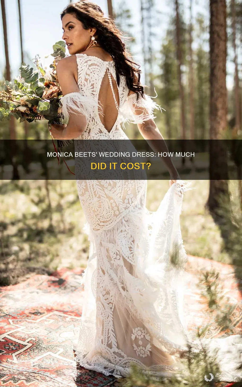 how much did monica beets wedding dress cost