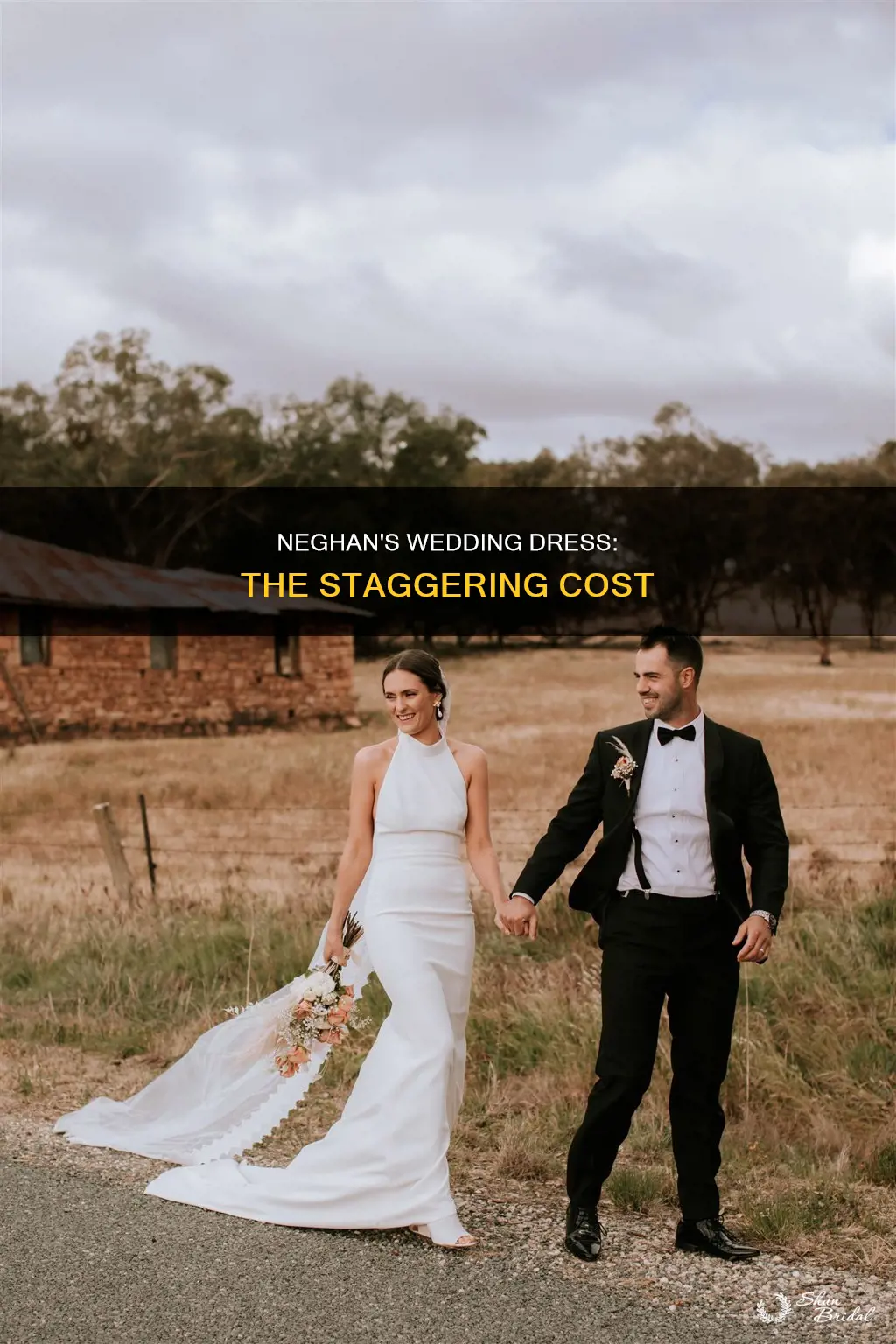 how much did neghans wedding dress cost