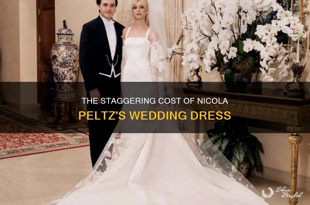 how much did nicola peltz wedding dress cost