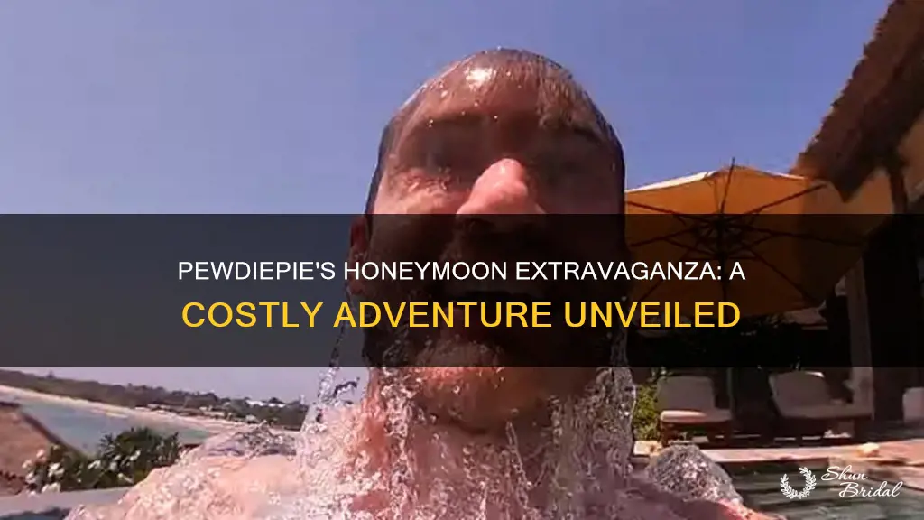 how much did pewdiepies honeymoon cost