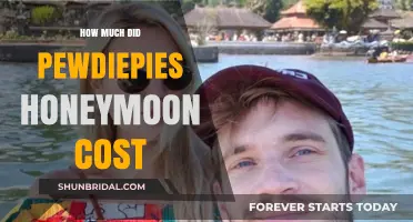 PewDiePie's Honeymoon Expenses: Unveiling the Cost of Their Romantic Getaway