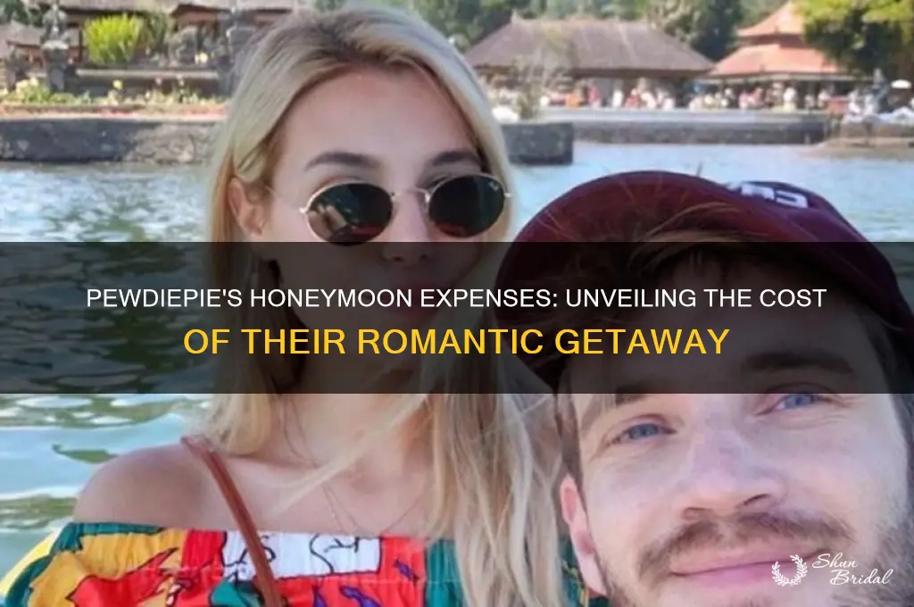 how much did pewdiepies honeymoon cost