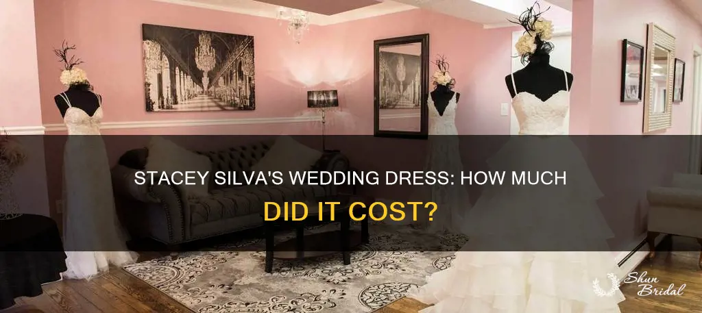 how much did stacey silva wedding dress cost