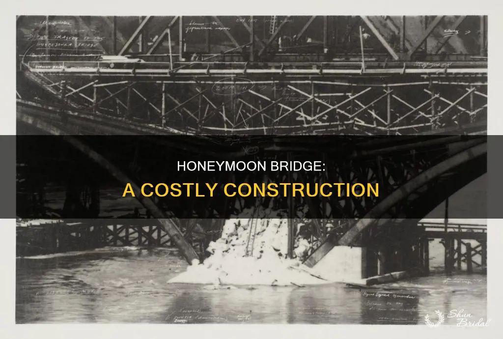 how much did the honeymoon bridge cost