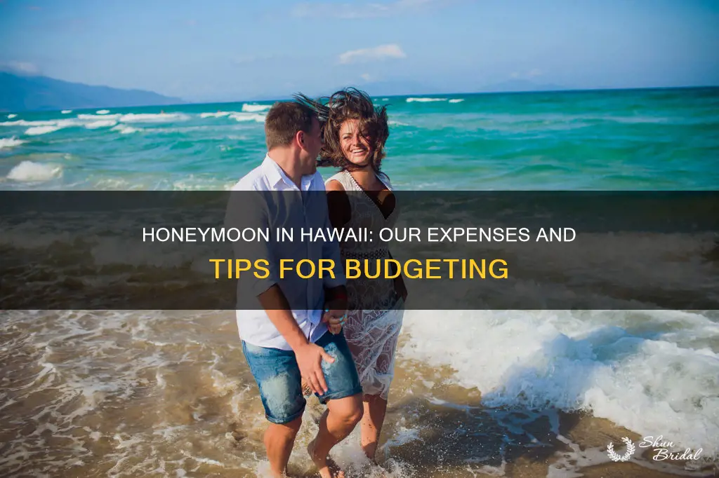 how much did you spend in hawaii on honeymoon