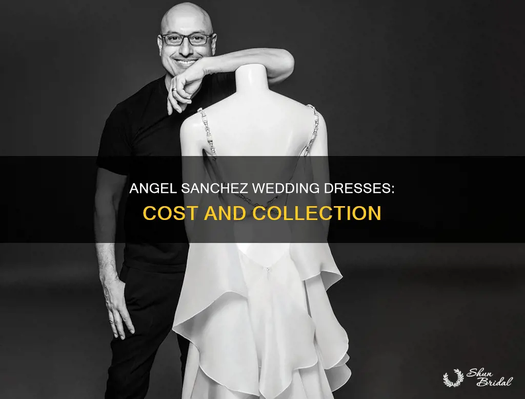 how much do angel sanchez wedding dresses cost