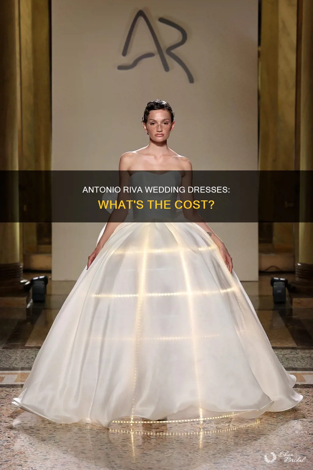 how much do antonio riva wedding dresses cost