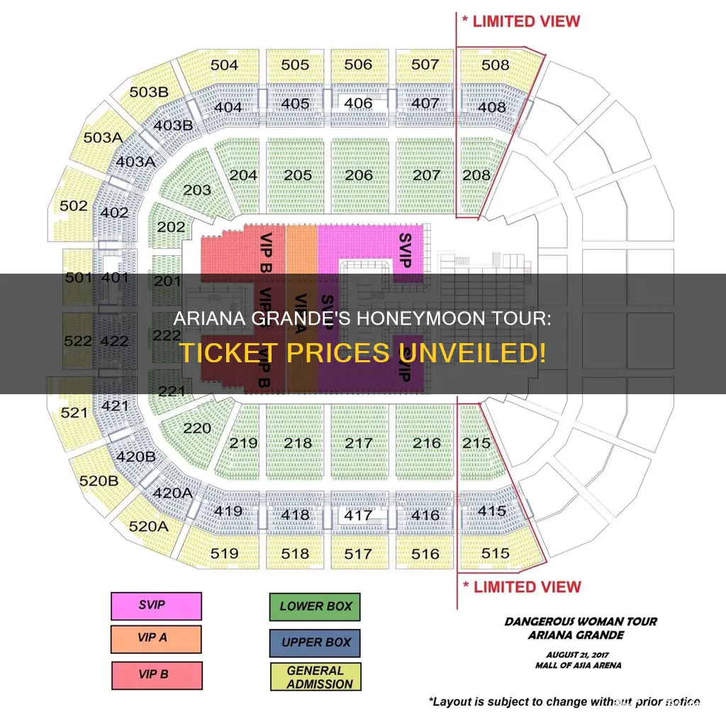 how much do ariana grande honeymoon tour tickets cost