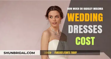 Badgley Mischka Wedding Dresses: What's the Cost?