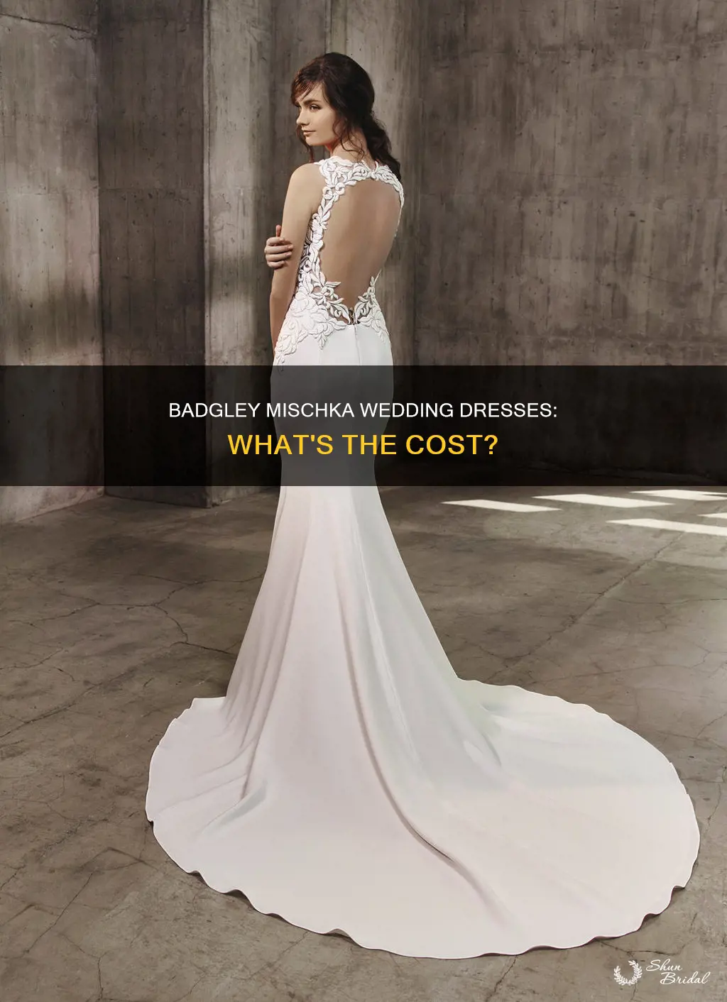 how much do badgley mischka wedding dresses cost