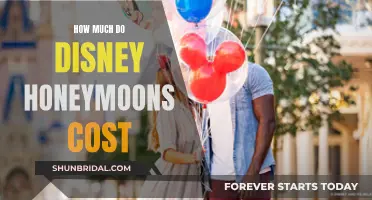 Disney Honeymoons: Exploring the Magical and the Monetary