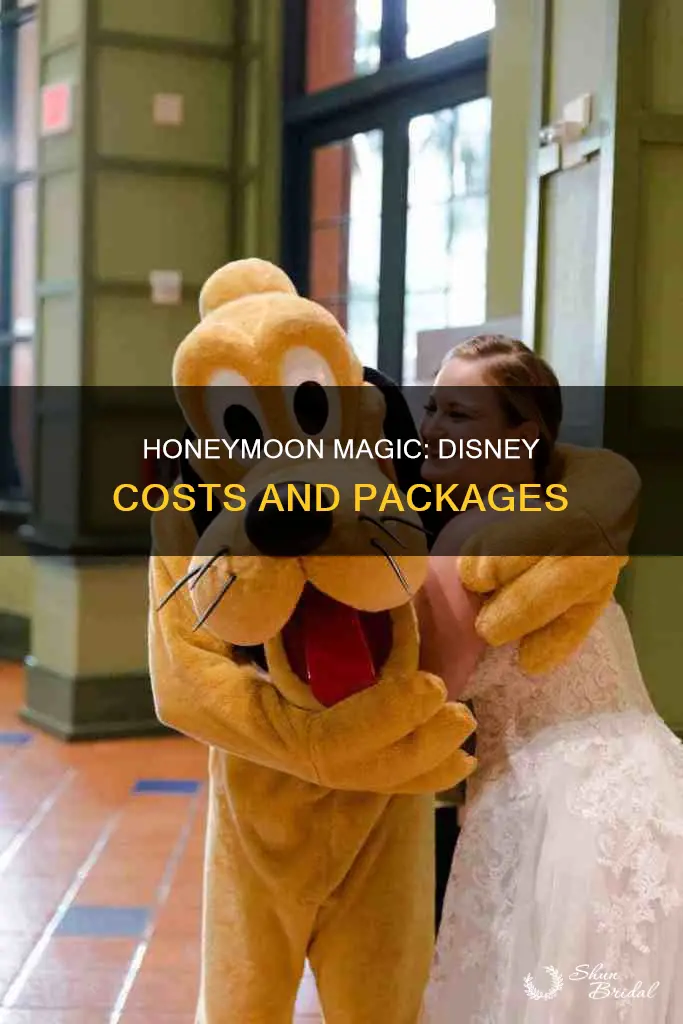 how much do disney honeymoons cost