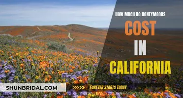 Honeymoon Costs in California: What to Expect