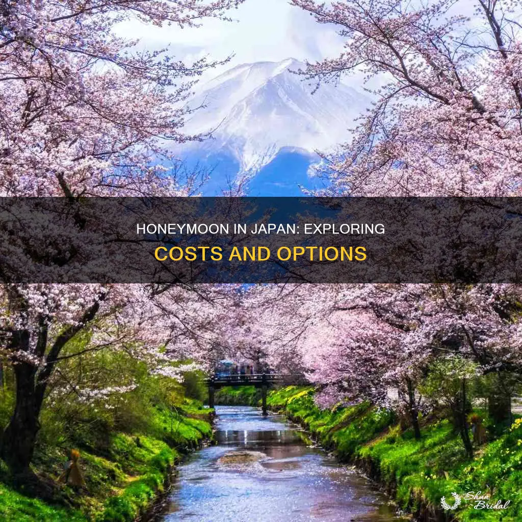 how much do honeymoons in japan cost