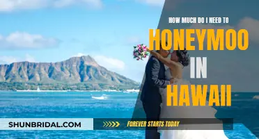 Planning a Luxurious Hawaiian Honeymoon: How Much to Budget?