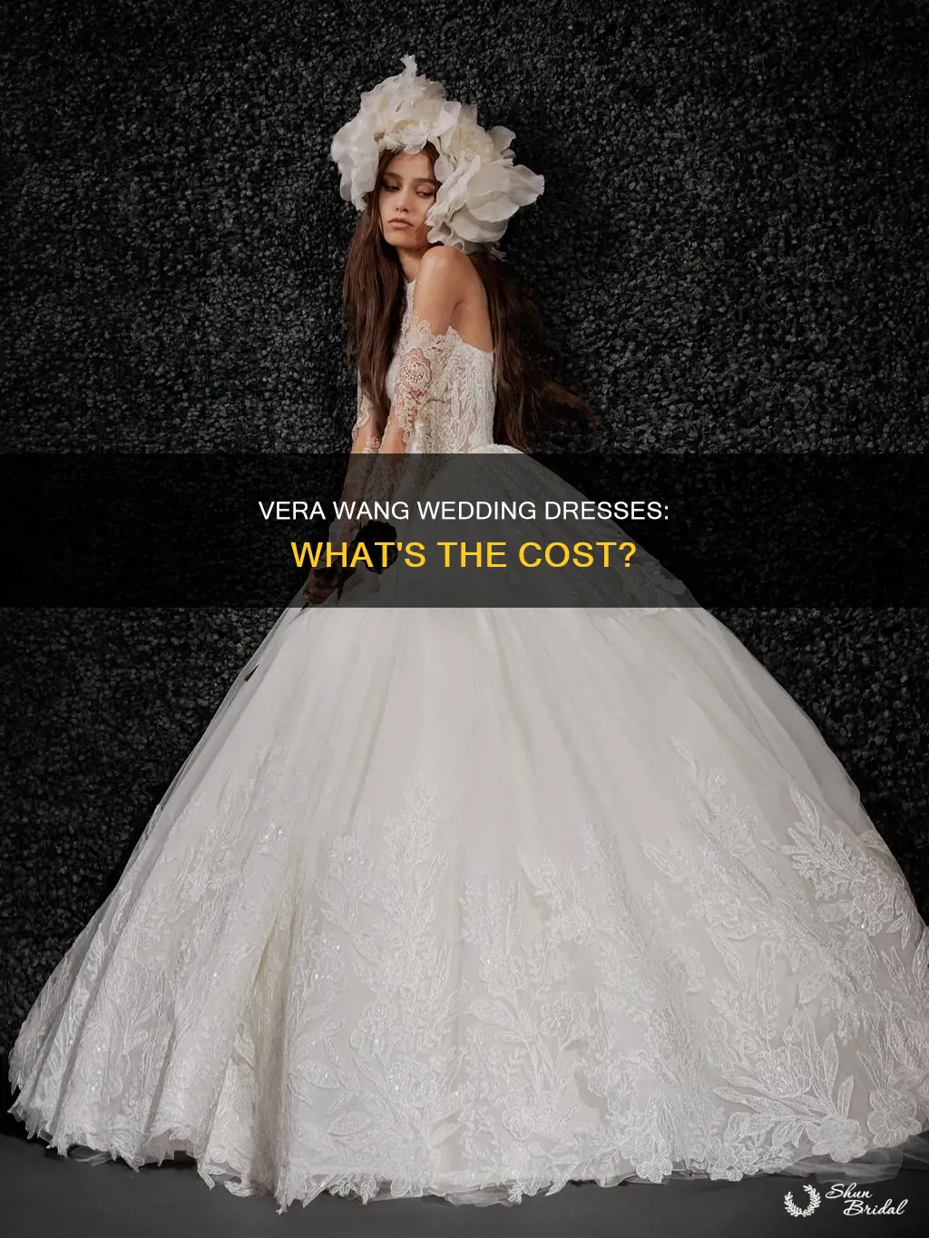 how much do vera wang wedding dresses cost