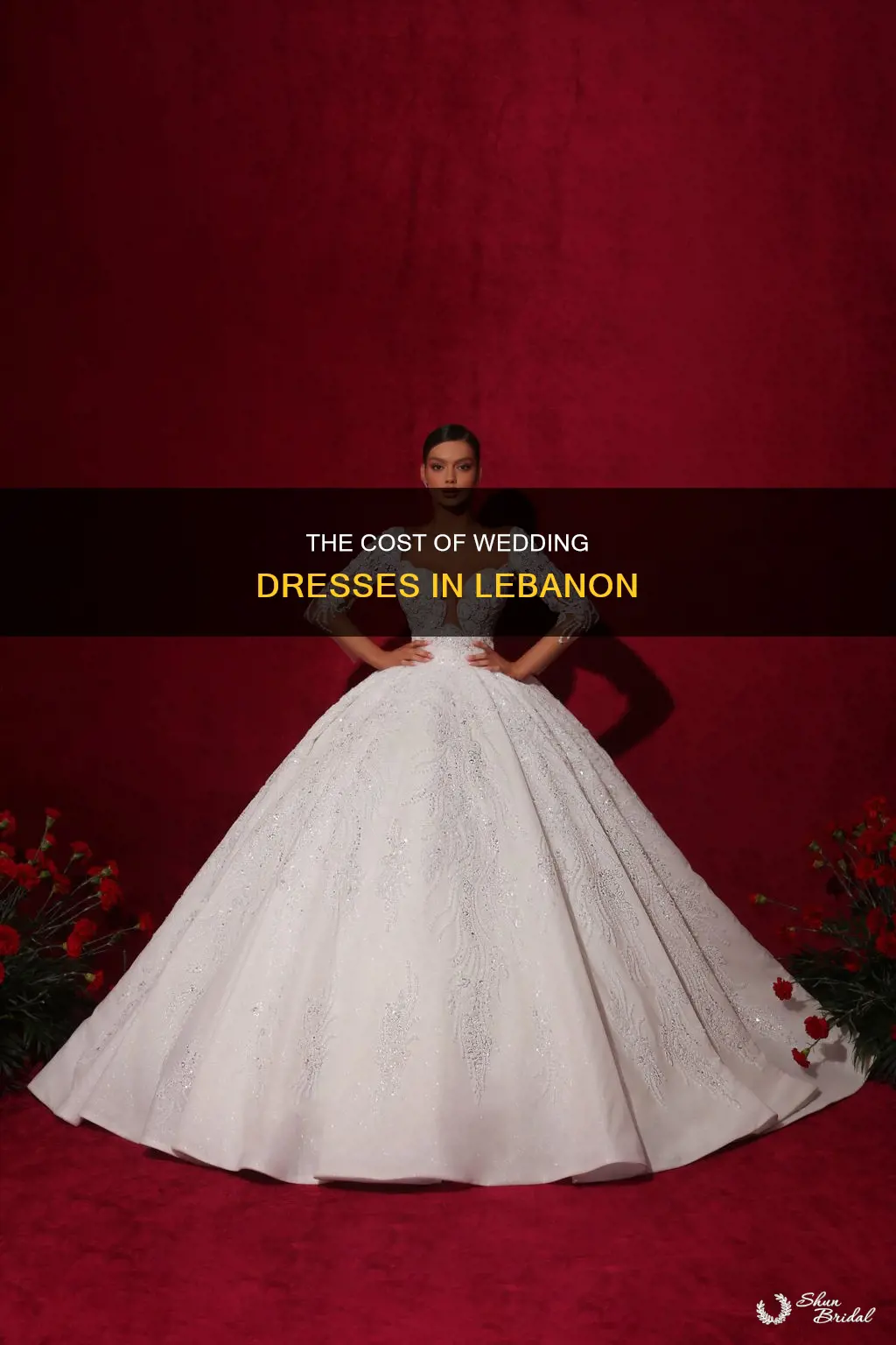 how much do wedding dresses cost in lebanon