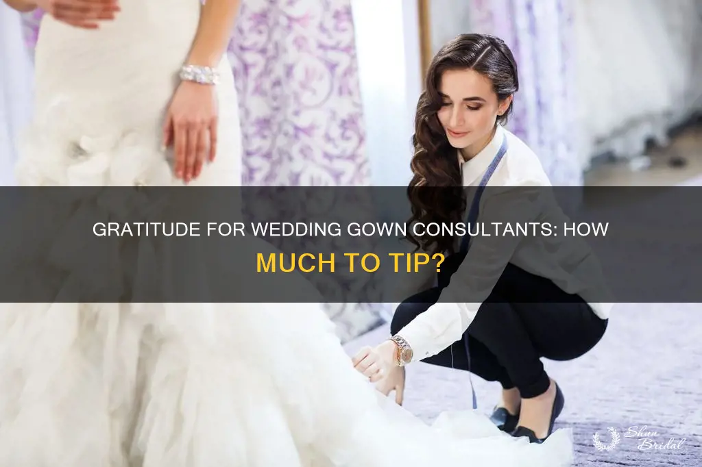 how much do you tip a wedding dress consultant