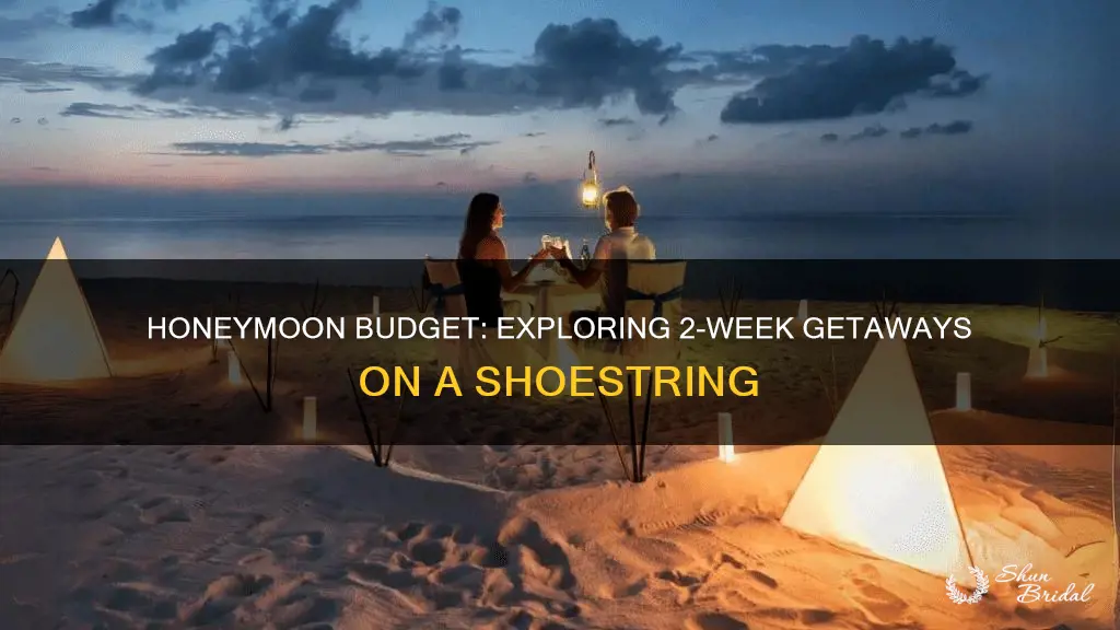 how much does a 2 week honeymoon cost