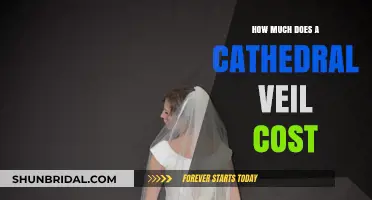 Cathedral Veil Cost Guide: Pricing Factors and Budget Tips