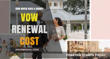 Disney Vow Renewal Cost: Planning Your Magical Celebration on a Budget