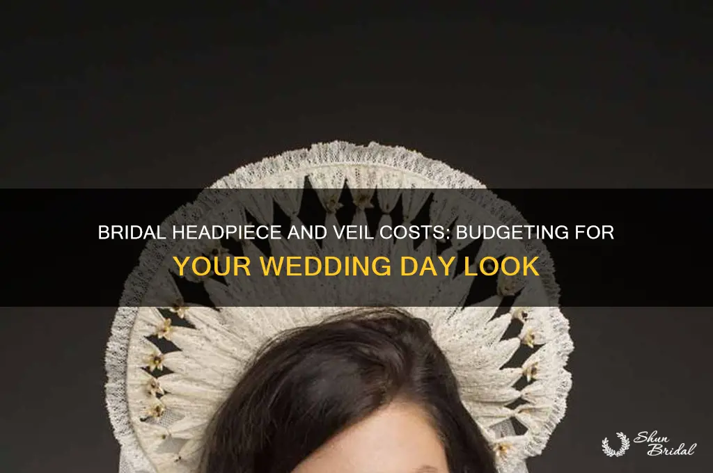 how much does a headpiece and veil cost