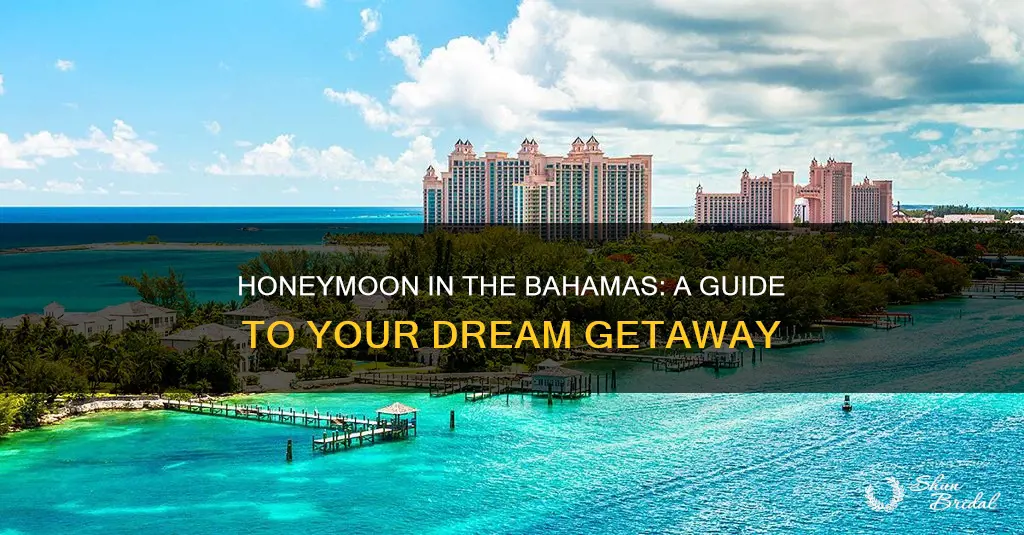 how much does a honeymoon to the bahamas cost