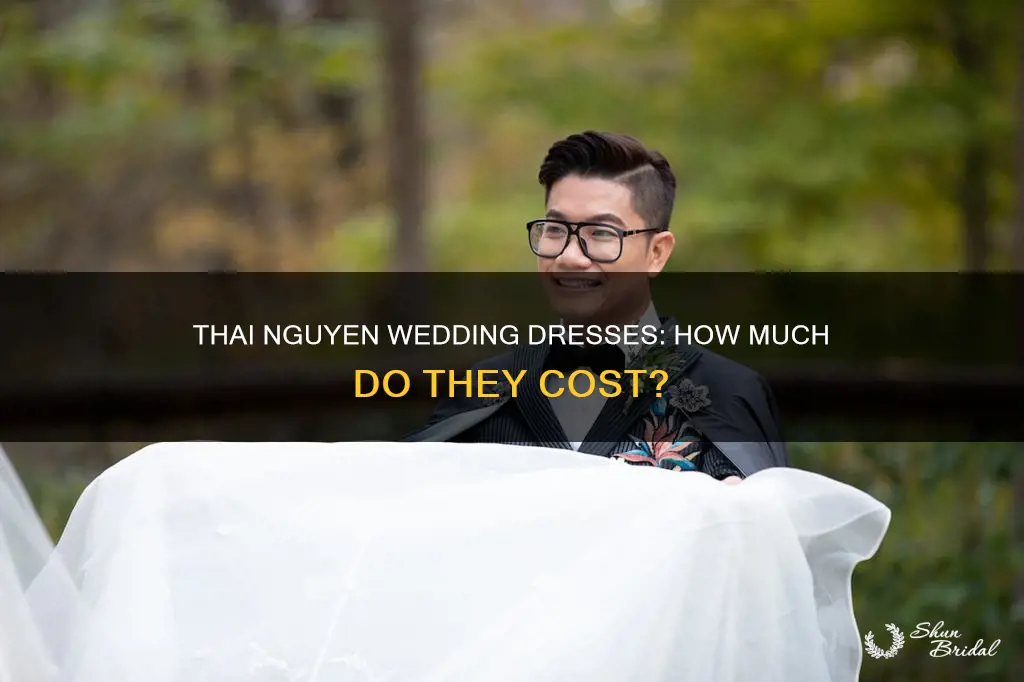 how much does a thai nguyen wedding dress cost