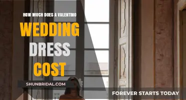 The Ultimate Price Guide for Valentino Wedding Dresses