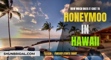 Honeymooning in Hawaii: The Ultimate Cost Breakdown