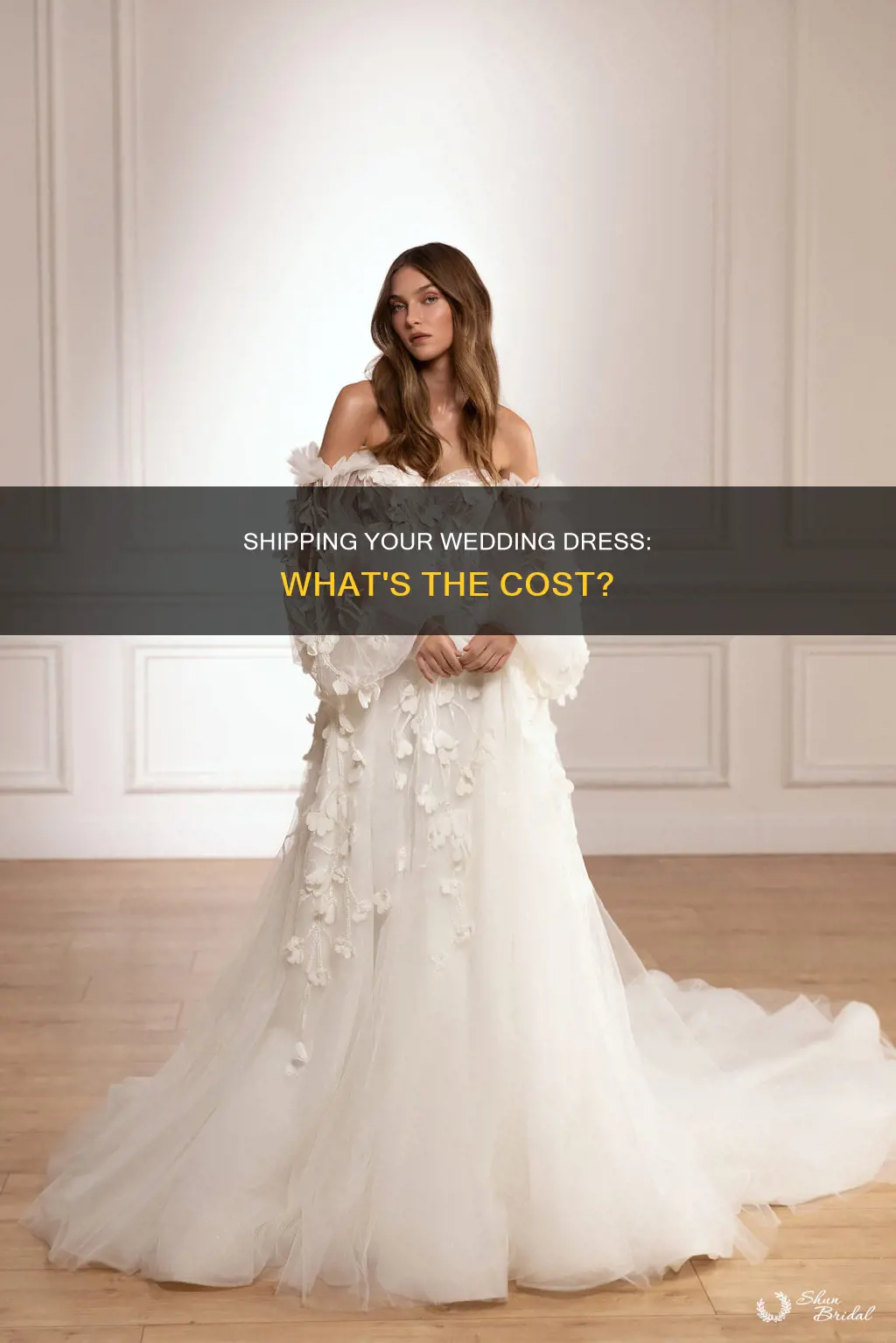 how much does it cost to ship wedding dress