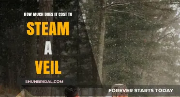 Steaming Your Veil: Understanding the Cost and Process
