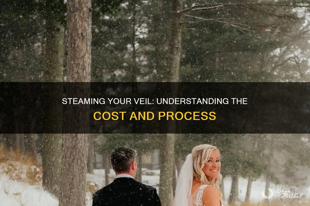 how much does it cost to steam a veil