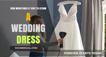 Steaming Your Wedding Dress: How Much Does It Cost?