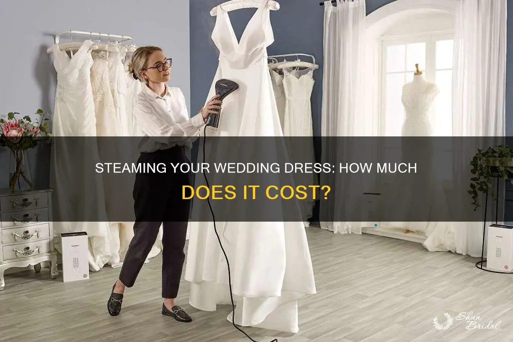 how much does it cost to steam a wedding dress