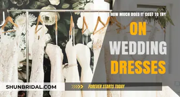 Trying on Wedding Dresses: What's the Cost?