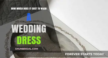 The Cost of Wedding Dress Cleaning and Preservation