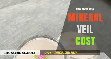Mineral Veil Price Guide: Cost Breakdown and Budget-Friendly Options