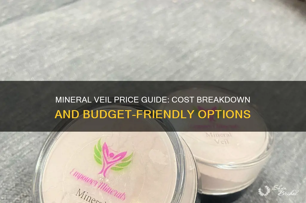 how much does mineral veil cost