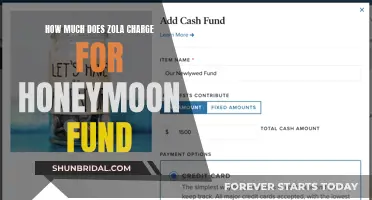 Zola's Honeymoon Fund: Unveiling the Cost Structure