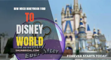 Planning Your Disney Honeymoon: Budgeting for the Magical Getaway