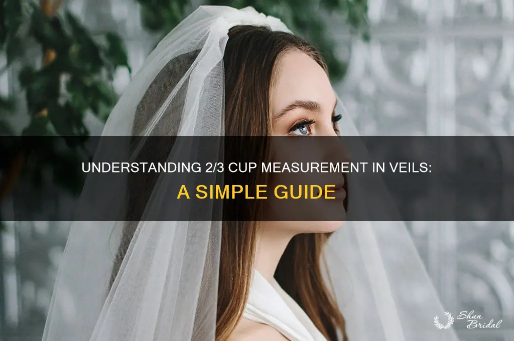 how much is 2 3 cup in veil