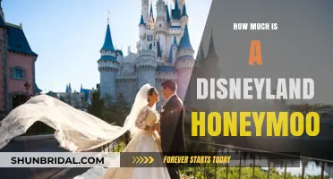 Disneyland Honeymoon Cost: Planning Your Magical Post-Wedding Escape