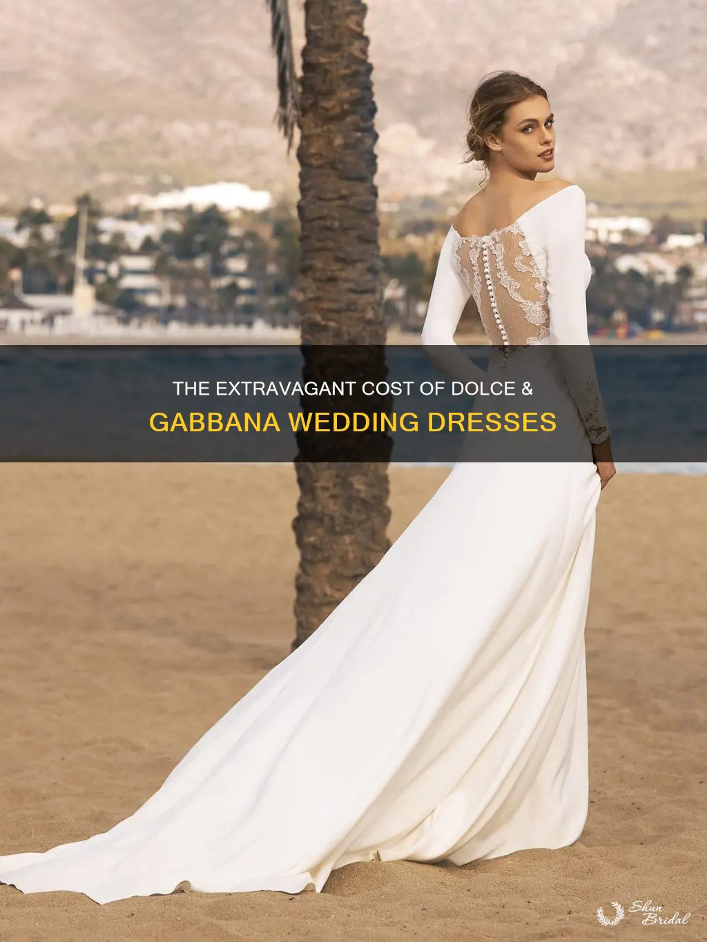 how much is a dolce and gabbana wedding dress